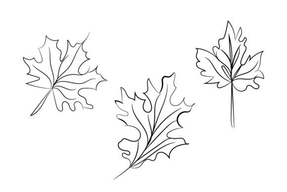 Floral Wildflower Decorative Elements Review
